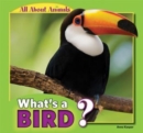 What's a Bird? - eBook
