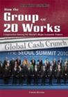 How the Group of 20 Works - eBook