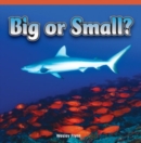 Big or Small? - eBook
