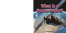 What Is a Space Probe? - eBook