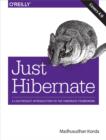 Just Hibernate : A Lightweight Introduction to the Hibernate Framework - eBook