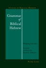 Grammar of Biblical Hebrew - eBook