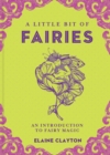A Little Bit of Fairies : An Introduction to Fairy Magic - Book