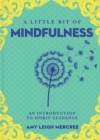 Little Bit of Mindfulness, A : An Introduction to Spirit Guidance - Book