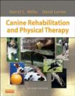 Canine Rehabilitation and Physical Therapy - eBook