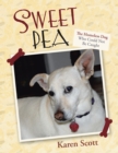 Sweet Pea : The Homeless Dog Who Could Not Be Caught - eBook