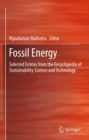 Fossil Energy : Selected Entries from the Encyclopedia of Sustainability Science and Technology - eBook