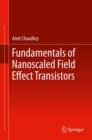 Fundamentals of Nanoscaled Field Effect Transistors - eBook