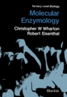 Molecular Enzymology - eBook
