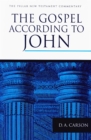 The Gospel according to John - eBook