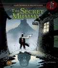 The Secret Mummy : Book 4 - eBook