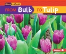 From Bulb to Tulip - eBook