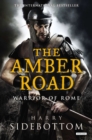 The Amber Road : Warrior of Rome - eBook