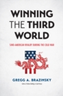 Winning the Third World : Sino-American Rivalry during the Cold War - eBook