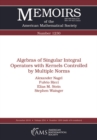 Algebras of Singular Integral Operators with Kernels Controlled by Multiple Norms - eBook