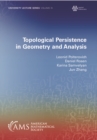 Topological Persistence in Geometry and Analysis - eBook