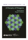 A Panoply of Polygons - eBook