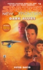 New Frontier #8 Dark Allies - eBook