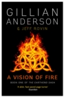 A Vision of Fire : Book 1 of The EarthEnd Saga - eBook