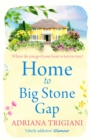 Home to Big Stone Gap - eBook