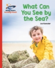 Reading Planet - What Can You See by the Sea? - Red B: Galaxy - Book