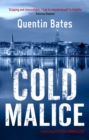 Cold Malice : A dark and chilling Icelandic noir thriller - eBook