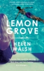 The Lemon Grove : The bestselling summer sizzler - A Radio 2 Bookclub choice - Book
