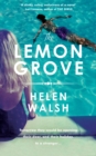 The Lemon Grove : The bestselling summer sizzler - A Radio 2 Bookclub choice - eBook