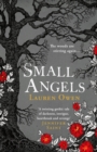 Small Angels : 'A twisting gothic tale of darkness, intrigue, heartbreak and revenge' Jennifer Saint - Book