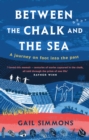 Between the Chalk and the Sea : A journey on foot into the past - Book