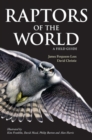 Raptors of the World: A Field Guide - eBook