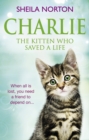 Charlie the Kitten Who Saved A Life - eBook