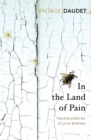 In the Land of Pain - eBook