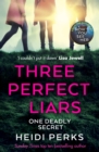 Three Perfect Liars : from the author of Richard & Judy bestseller Now You See Her - eBook