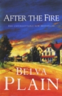 After the Fire - eBook