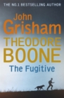 Theodore Boone: The Fugitive : Theodore Boone 5 - Book