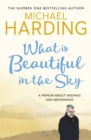 What is Beautiful in the Sky : A book about endings and beginnings - Book