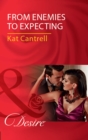 From Enemies To Expecting - eBook