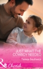 The Just What The Cowboy Needed - eBook