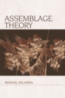 Assemblage Theory - eBook