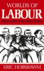 Worlds of Labour - eBook