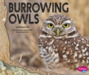 Burrowing Owls - Book