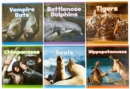 Mammals in the Wild Pack A of 6 - Book