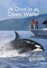 Orca in Open Water - eBook