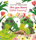 Are you there little Bunny - Book
