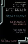Three Novels : Tender is the Night; The Beautiful and Damned; Thi - eBook