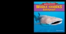 Whale Sharks: Bullet-Proof! - eBook
