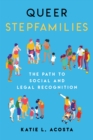 Queer Stepfamilies : The Path to Social and Legal Recognition - eBook