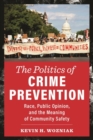 The Politics of Crime Prevention : Race, Public Opinion, and the Meaning of Community Safety - Book