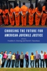 Choosing the Future for American Juvenile Justice - eBook
